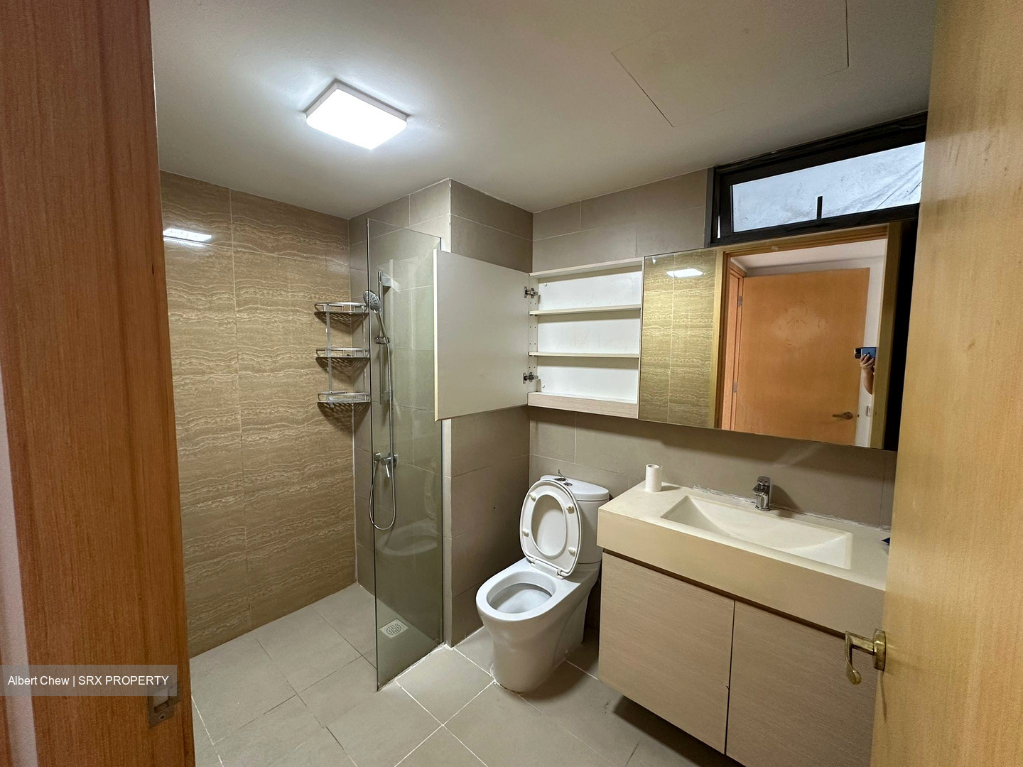 A Treasure Trove (D19), Condominium #535168091